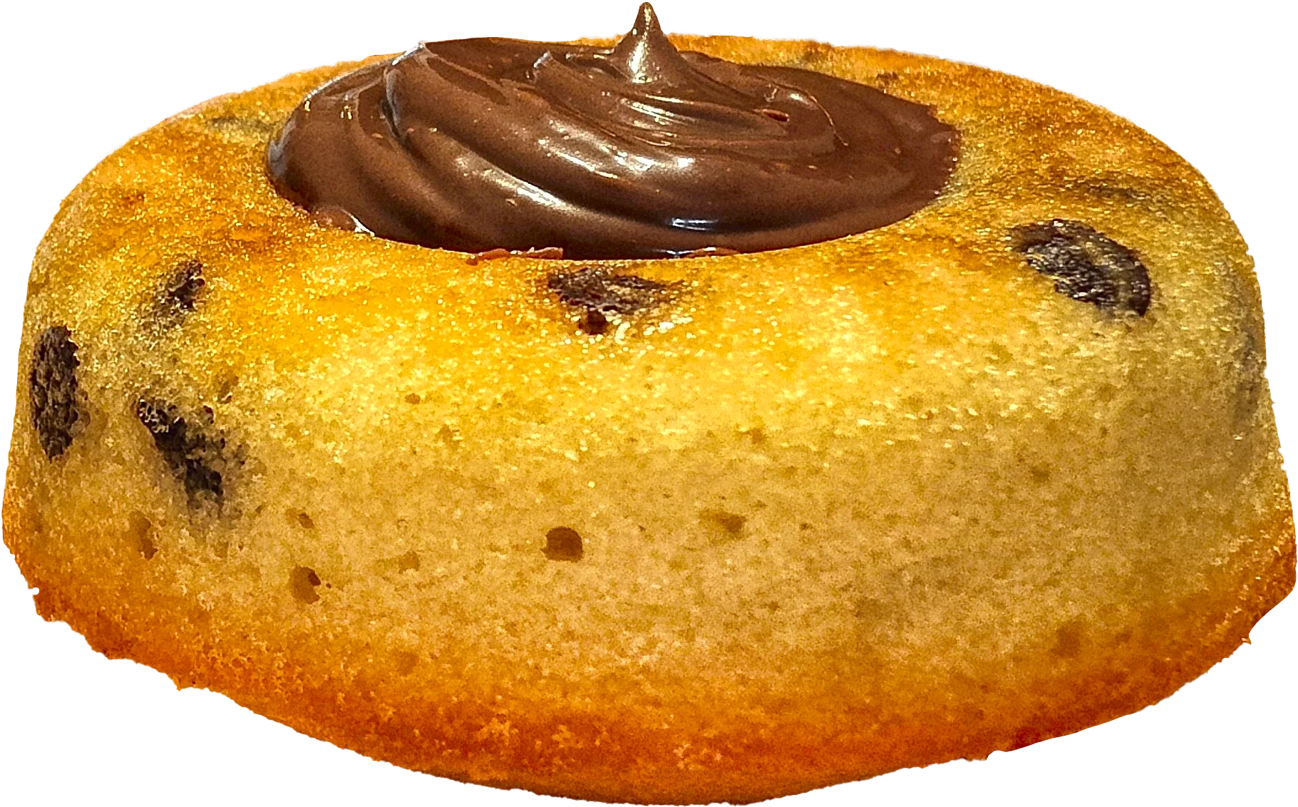 6 financiers tigrés